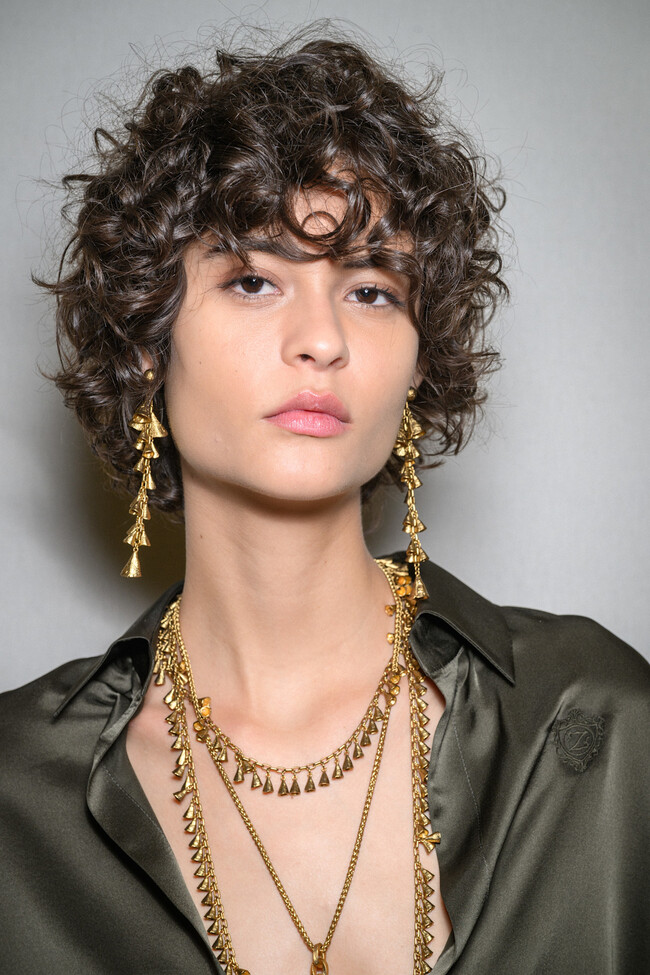 Dark Brown Visual Idea Dark Brown Visual Idea — Pixie 2027 for Wavy Hair