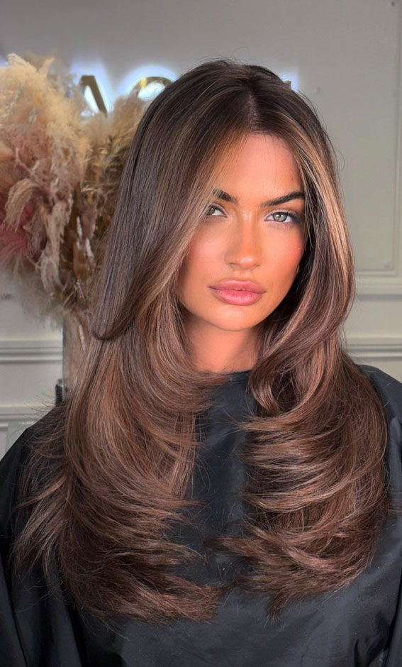 Caramelised Chestnut With Highlights Caramelised Chestnut With Highlights — Winter Hair Colors for Olive Skin